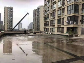 甬江打響市級精品路大閘路段創建第一槍，精細化工程管理是關鍵